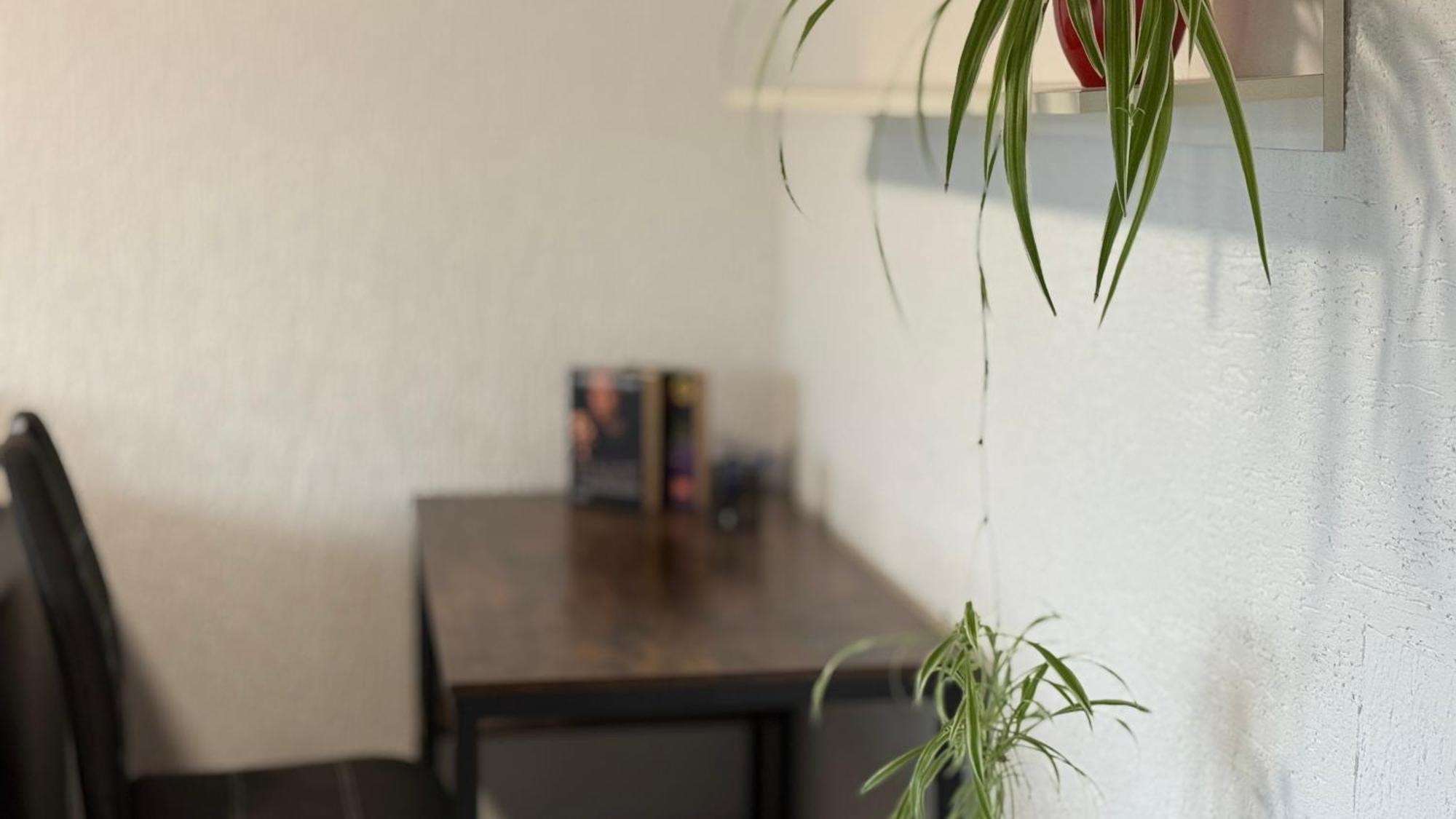 Gemuetliche 2 Zimmer Wohnung Bad Hersfeld Exterior photo